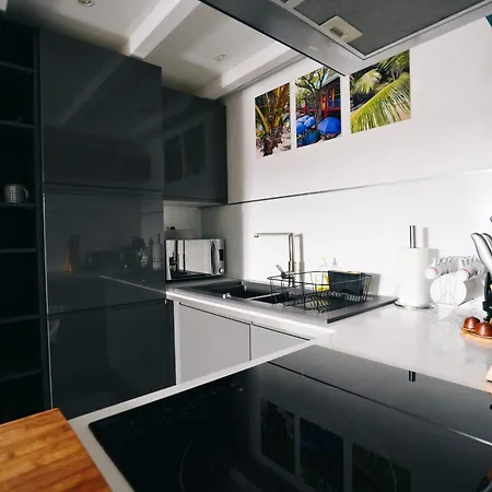 Daire Appartement Hyper Centre Colmar, Ideal Marche De Noel Colmar