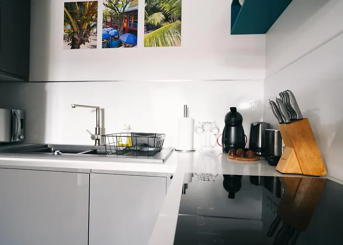 Daire Hyper Centre , Climatise Colmar